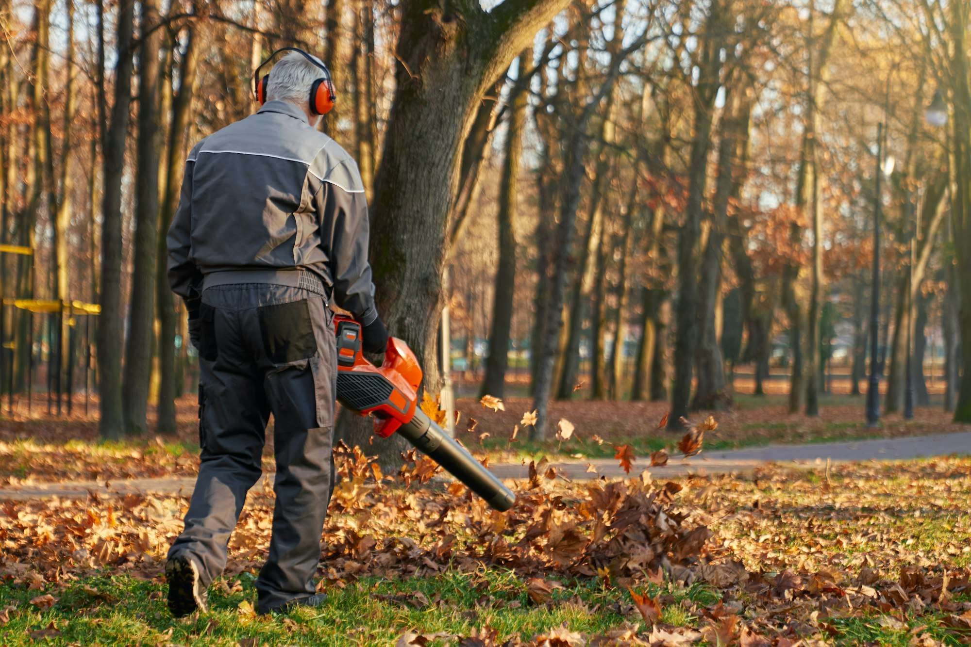 Anonymous man wearing earmuffs using leaf blower, while working outdoors.